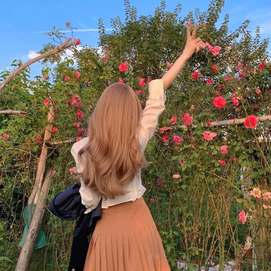 怪医杜立德5:百万傻蛋国语