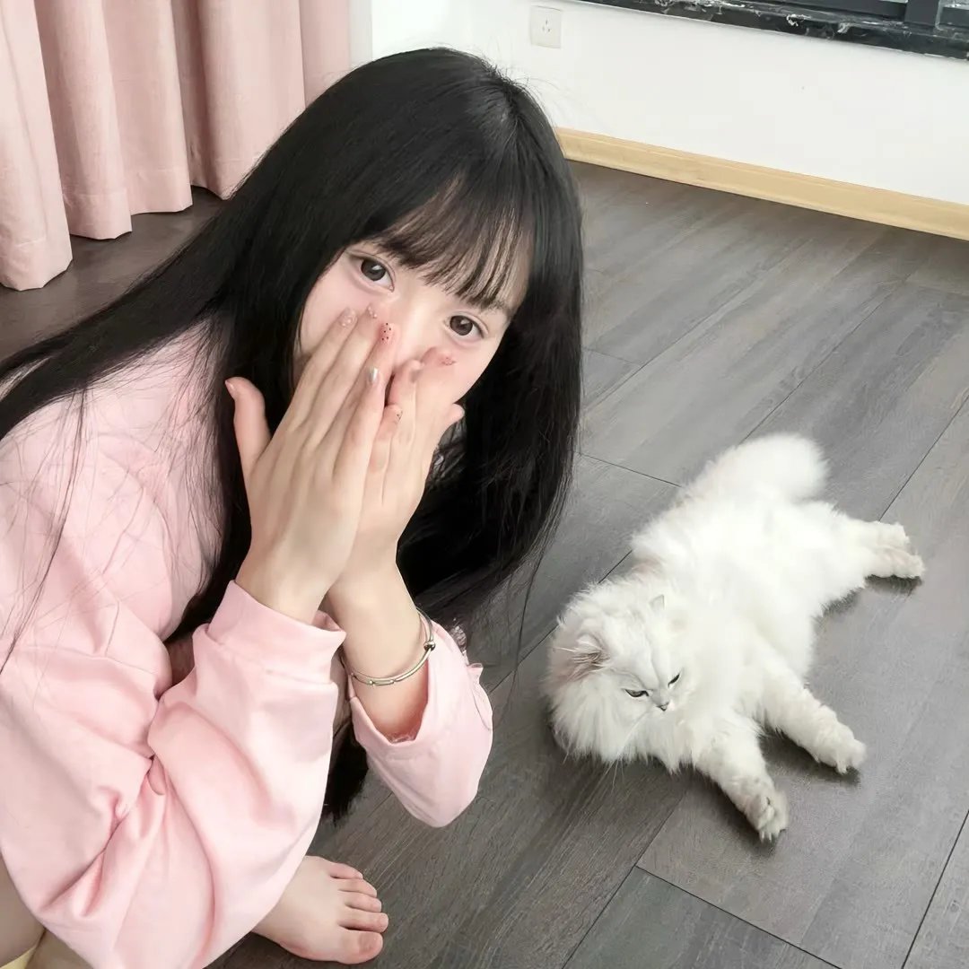 武动乾坤第五季